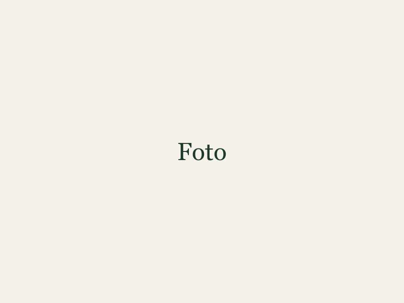 Koningsschieten 2025 — foto 4